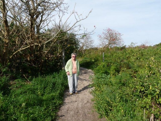 Margaret Slowgrove on childhood bush tracks, Yarra Bay